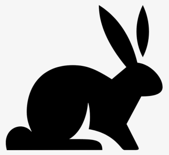 Domestic Rabbit, HD Png Download, Free Download