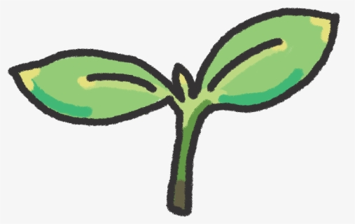 Seedling , Png Download, Transparent Png, Free Download