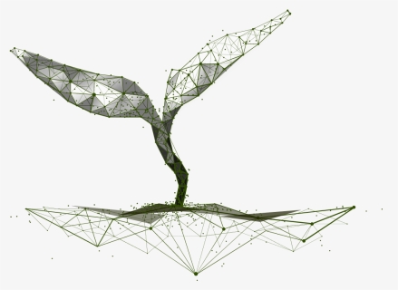 Wireframe Seedling - Drawing, HD Png Download, Free Download