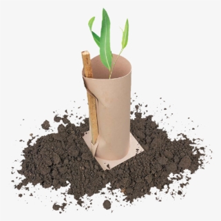 Flowerpot, HD Png Download, Free Download