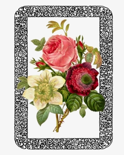 Vintage Botanical Prints Peonies Art, HD Png Download, Free Download