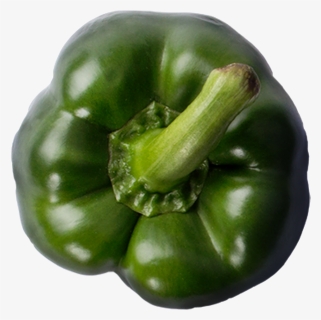 Green Bell Pepper , Png Download - Green Bell Pepper, Transparent Png, Free Download