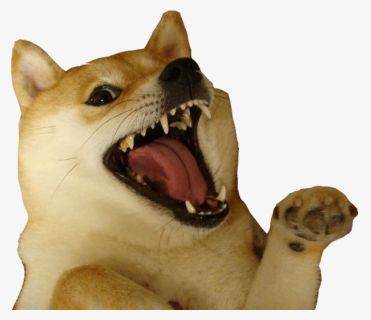 Shiba Inu Doge Dogecoin Free Transparent Image Hd Clipart Doge Meme Vector Hd Png Download Kindpng - roar doge roblox