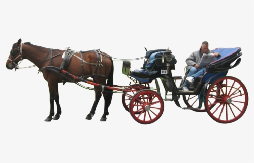 Horse Drawn Carriage Png, Transparent Png, Free Download