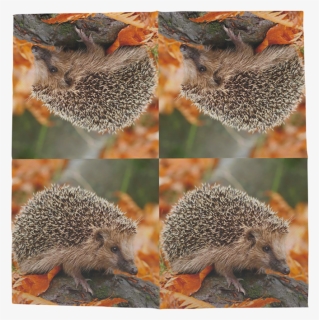 Paper Napkins Hedgehogs 33x33cm - Domesticated Hedgehog, HD Png Download, Free Download