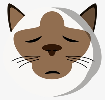 Whiskers Kitten Cat Snout Dog - Cat Yawns, HD Png Download, Free Download