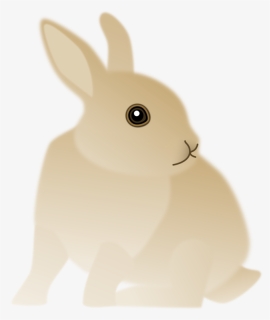 Rabits And Hares,hare,whiskers - Domestic Rabbit, HD Png Download, Free Download