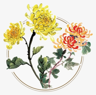 Fresh Two Tone Hand Painted Chrysanthemum Decorative - Chinese Paintings Of Chrysanthemum, HD Png Download, Free Download