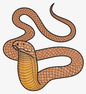 King Cobra Clipart - コブラ イラスト フリー, HD Png Download, Free Download