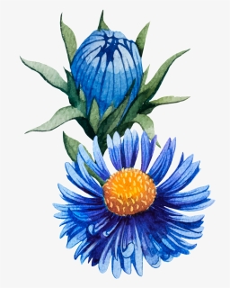 Glamour Blue Hand Painted Chrysanthemum Decorative - Protea, HD Png Download, Free Download