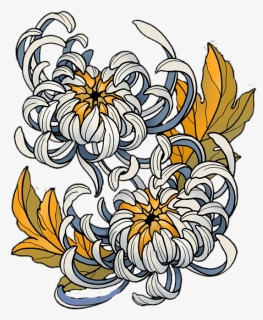 Transparent Chrysanthemum Clip Art - Japanese Chrysanthemum Drawing, HD Png Download, Free Download