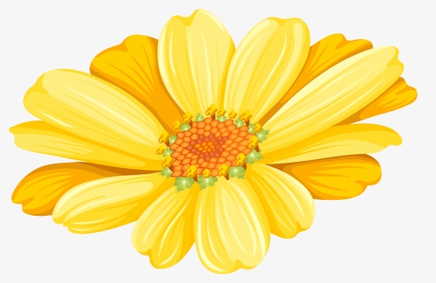 Transvaal Daisy Chrysanthemum Argyranthemum Frutescens - Chrysanthemum, HD Png Download, Free Download