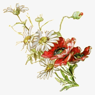 Fresh White Hand Drawn Chrysanthemum Decorative Elements - Chrysanthemum, HD Png Download, Free Download