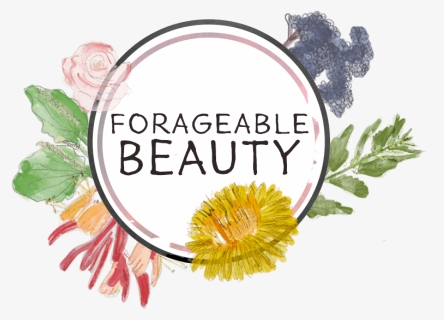 Foragable Beauty - Chrysanths, HD Png Download, Free Download