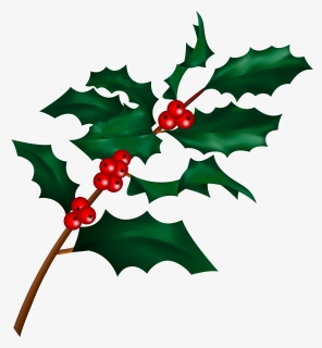 Christmas Holly Clip Art, HD Png Download, Free Download
