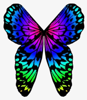 Rainbow Butterfly Png Image Background - Portable Network Graphics, Transparent Png, Free Download