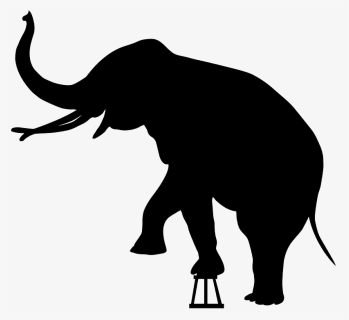 Circus Elephant Silhouette, HD Png Download, Free Download
