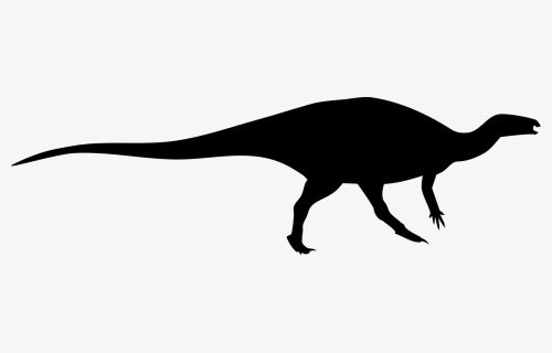 Carcharodontosaurus Silhouette Png, Transparent Png, Free Download