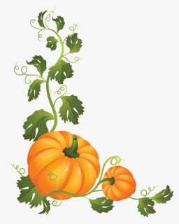 Pumpkin Png - Pumpkin On A Vine Clipart, Transparent Png, Free Download