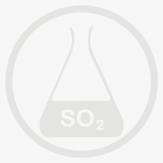 Sulphurdioxide Allergy Grey Icon - So2 Icon, HD Png Download, Free Download