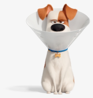 Max - Max From Secret Life Of Pets, HD Png Download, Free Download
