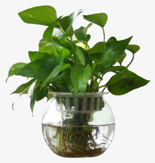 Modern Flower Vase - Moderno Florero Png, Transparent Png, Free Download