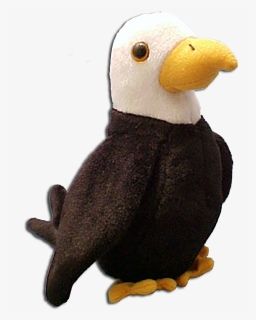Ty Beanie Babies Baldy The Eagle Stuffed Animal - Beanie Babies Birds, HD Png Download, Free Download