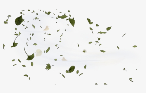 #wind #windy #leaves #blow #blowing - Leaves Blowing In The Wind Png, Transparent Png, Free Download