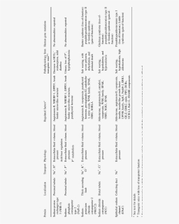 Document, HD Png Download, Free Download