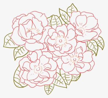 Transparent Floral Line Png - Drawing, Png Download, Free Download