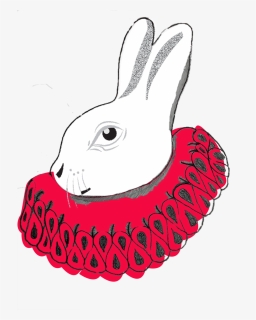 Whiterabbit - Domestic Rabbit, HD Png Download, Free Download