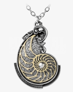 Fibonacci Golden Spiral Pendant - Fibonacci Necklace, HD Png Download, Free Download