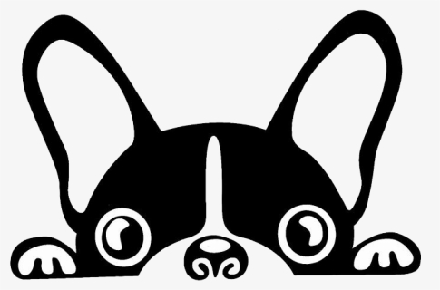Boston Terrier French Bulldog Brazilian Terrier Puppy - Easy To Draw Boston Terrier, HD Png Download, Free Download