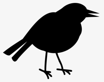 Silhouette,american Crow,monochrome Photography - American Robin, HD Png Download, Free Download