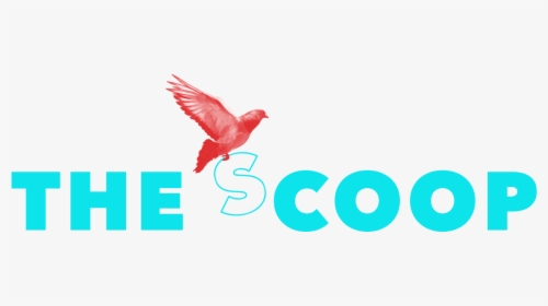 The Scoop - Songbird, HD Png Download, Free Download