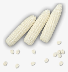 Transparent Elotes Png - Corn Kernels, Png Download, Free Download