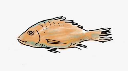 Fish - Sole, HD Png Download, Free Download