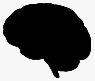 Brain Silhouette - Brain Silhouette No Background, HD Png Download, Free Download