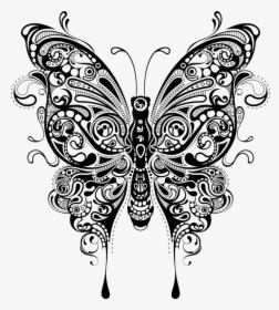 Art Symmetry Monochrome Photography Butterfly Mandala Svg Free Hd Png Download Kindpng