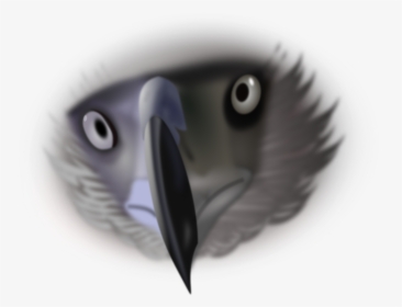 Transparent Scary Eyes Png - Eagle Face 3 4 Vector, Png Download, Free Download
