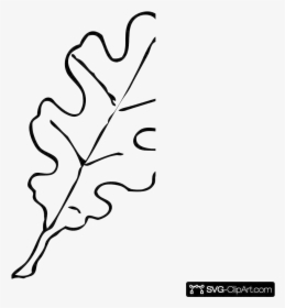 Leaf Outline Coloring Oak Free Maple Clip Art Simple - Outline Leaf Clipart Black And White, HD Png Download, Free Download