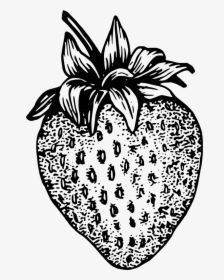 Black And White Strawberries Illustration, HD Png Download, Free Download