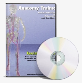 Fascial Tensegrity - Anatomy Trains Revealed Dvd, HD Png Download, Free Download