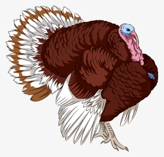 Bourbon Red Turkey Clipart - Bourbon Red, HD Png Download, Free Download