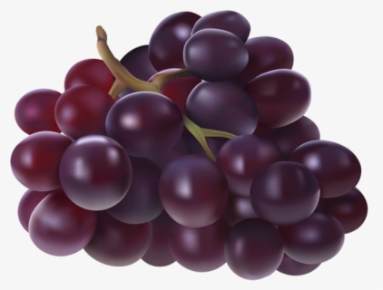 Imagem De Frutas - Grapes Transparent Clip Art, HD Png Download, Free Download