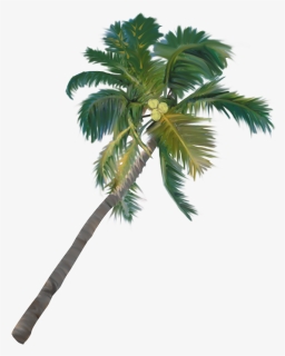 Photoshop Tree Coconut Elevation , Png Download - Palm Trees Elevation, Transparent Png, Free Download