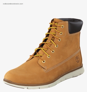 Women"s Timberland Killington 6 In Boot Wheat Nubuck - Work Boots, HD Png Download, Free Download