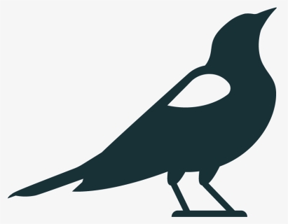 Blackbird, HD Png Download, Free Download