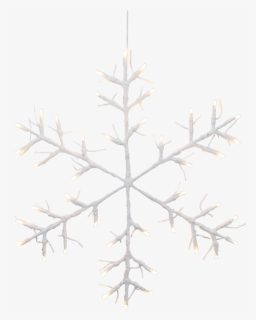 Snowflake Tobby Star - Vector Graphics, HD Png Download, Free Download