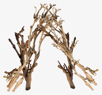 Twig Clipart , Png Download - Twig, Transparent Png, Free Download